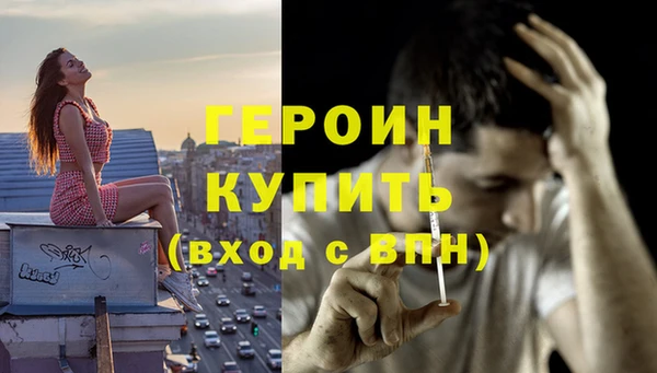 прущие грибы Надым