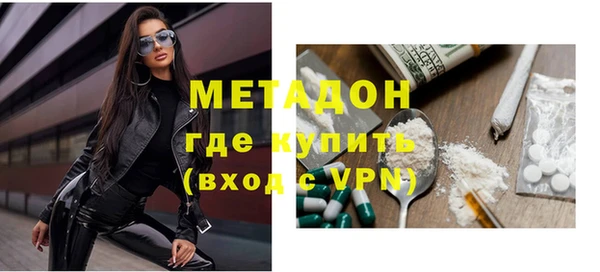 прущие грибы Надым
