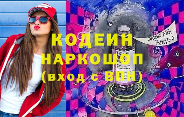 прущие грибы Надым