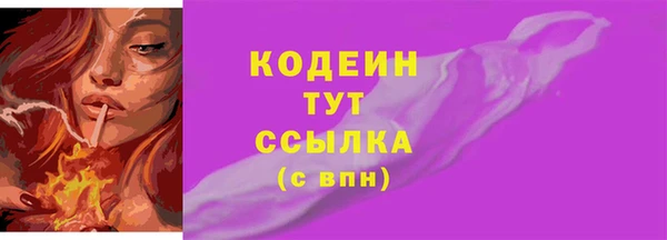 прущие грибы Надым