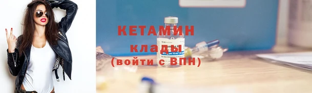 прущие грибы Надым