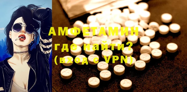 прущие грибы Надым