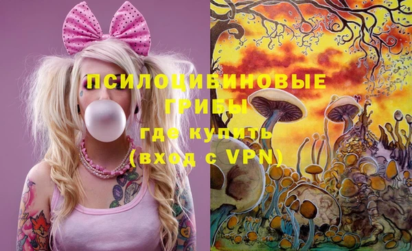 прущий лед Нея