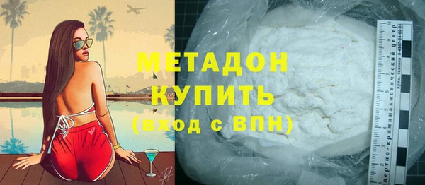 прущие грибы Надым