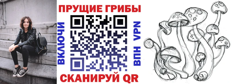 hydra рабочий сайт  Кириллов  Галлюциногенные грибы Psilocybe 